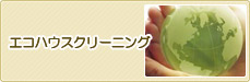 エコハウスクリーニング
