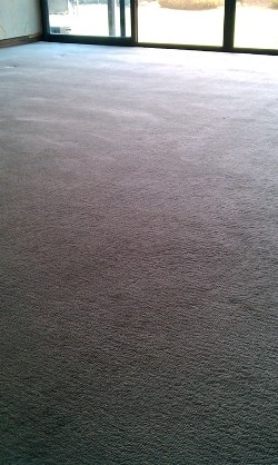 カーペット施工後の写真
